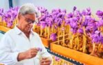 ramesh gera grows saffron indoors in a controlled setup in noida