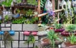 recycle empty plastic bottles for your home garden