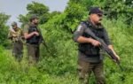 search operation in j k