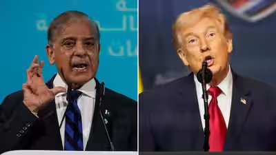 shehbaz sharif and us president donald trump
