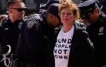susan sarandon arrested
