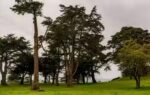 sutro heights park in san francisco california