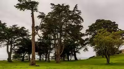 sutro heights park in san francisco california