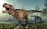 t rex