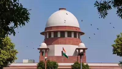 the supreme court urged the centre to extend tribunal member tenures temporarily