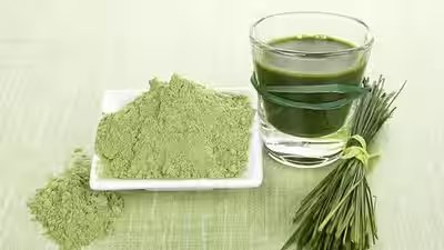 wheatgrass powder