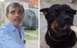 why this jaipur kulfi seller is making special sugar free kulfi just for dogs