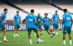 1790975798 india vs brazil