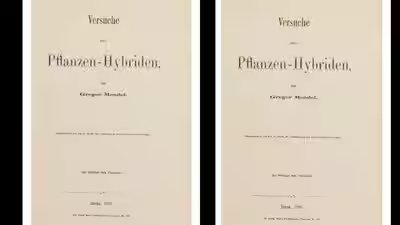 a monk printed 40 copies of his pea plant research which sold for rs 610 crore in 2026