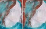 a shopper paid c5 for a bowie painting at an ontario donation centre it later sold for c108120