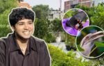aman sharmas delhi terrace has more than 500 plants and attracts diverse wildlife