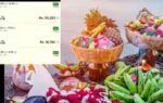 chhath puja airfares
