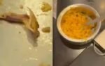chicken found in veg biryani