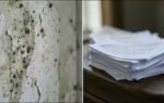 damage meets documentation