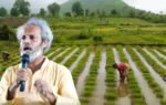 debal deb