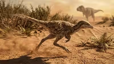 dinosaurs as small as cats