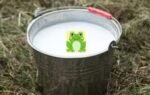 frog in the milk
