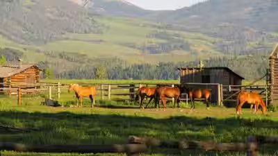 horse ranch