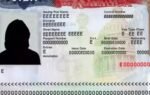 indian man pleads guilty to faking a robbery to get a store clerk his u visa in south carolina