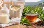 infant nutrition and tea safety