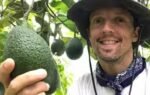 jason mraz
