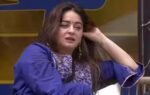 mahhi vij is currently in the bigg boss 20 house