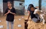 meet jagriti mishrathe animal rescuer standing up for paralysed animals