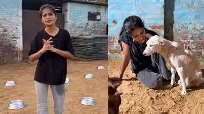 meet jagriti mishrathe animal rescuer standing up for paralysed animals