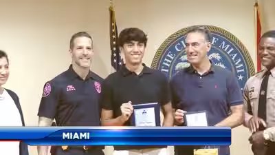 miami teen hailed as spider man after tackling alleged thief