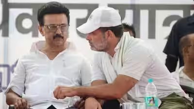 mk stalin rahul gandhi