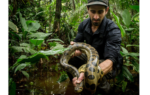 paul rosolie entered the amazon at 18 and spent two decades fighting to save its rainforest now his
