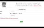 psssb group d admit card 2026