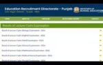 punjab lecturer result declared