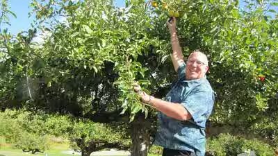 retired fbi agent dave benscoter turned his retirement into a mission to find lost apples