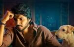 sigma box office collection day 7 jason sanjays film earns fb