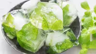 store curry leaves and pudina at home