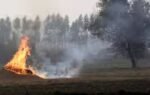 stubble burning