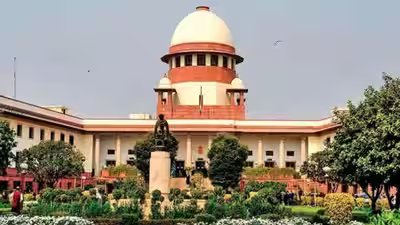 supreme court false election affidavit