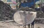the hidden cost of clean cities child labour in waste segregation