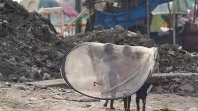 the hidden cost of clean cities child labour in waste segregation