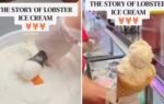 this maine shops unusual dessert has a surprising story behind it