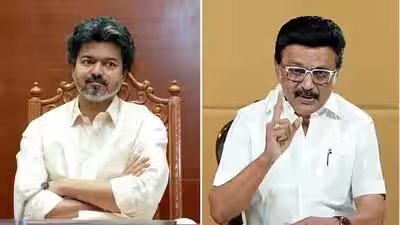 tvk vs dmk