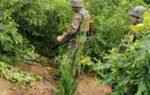 two more naga villagers shot dead in manipurs senapati