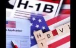 what happens when an h 1b visa holder is laid off