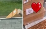 woman living abroad shares diwali gift sent by parents from india
